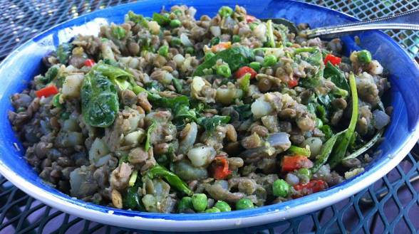 Lentil-Potato Salad